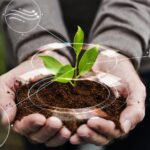 ¿Cómo evaluar el impacto ambiental de la conservación?