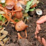 Compostaje: El tratamiento adecuado para tus materiales orgánicos