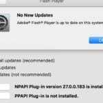 Descubre cómo actualizar Adobe Flash Player fácilmente