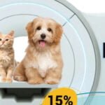 Ecografías para perros en Lima: precios y ubicación