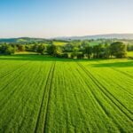 Inversión en Fondos de Agricultura: Una Opción Rentable y Sostenible