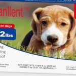 Los mejores productos para control de pulgas y garrapatas para perros