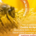 Promoviendo prácticas sostenibles para proteger a las abejas