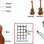 Reseñas y recomendaciones del mejor instrumento para acompañar la voz