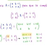 Resuelve ecuaciones con matrices de forma rápida y sencilla