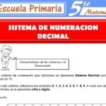 Sistema de numeración decimal primaria en PDF: ¡Aprende rápido!